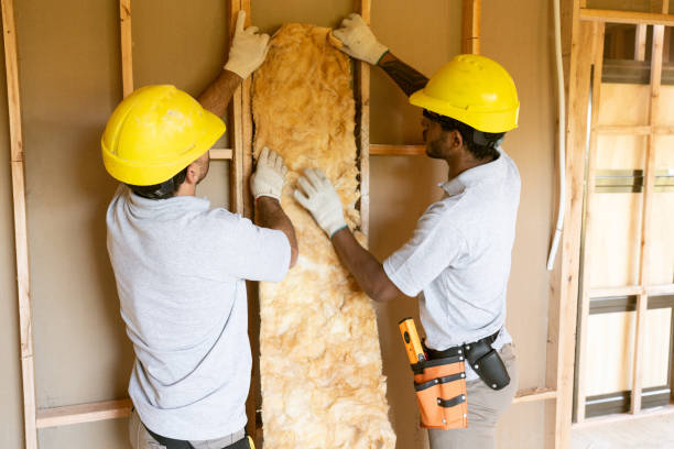 Best Insulation Inspection Services  in West Lafayette, IN